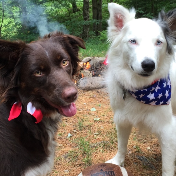 Meet Your Posher, Renee! - Picture 5 of 5